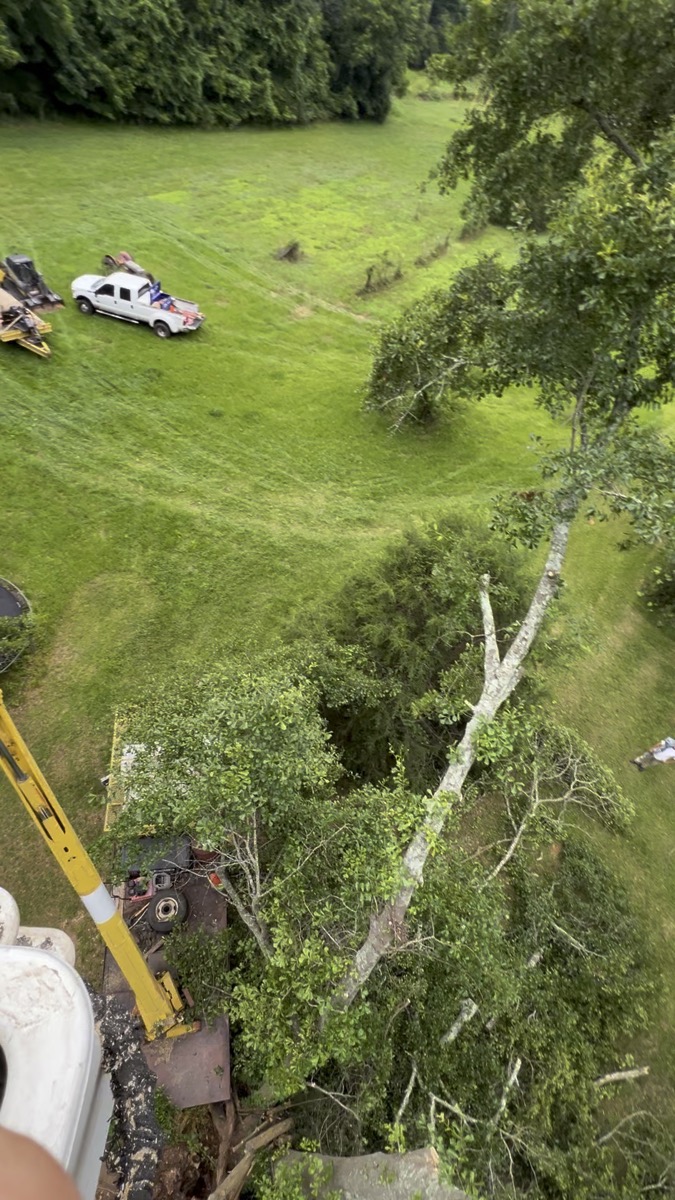 Storm cleanup and debris removal Macon GA