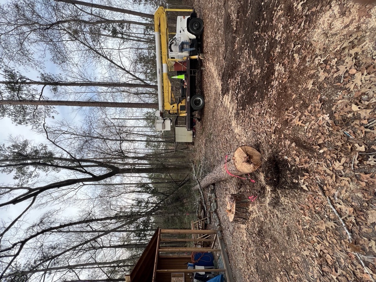Emergency tree service Macon GA