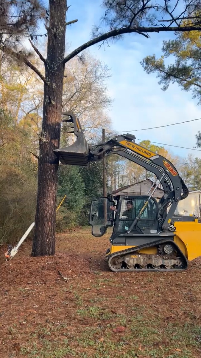 Skid steer tree removal Macon GA