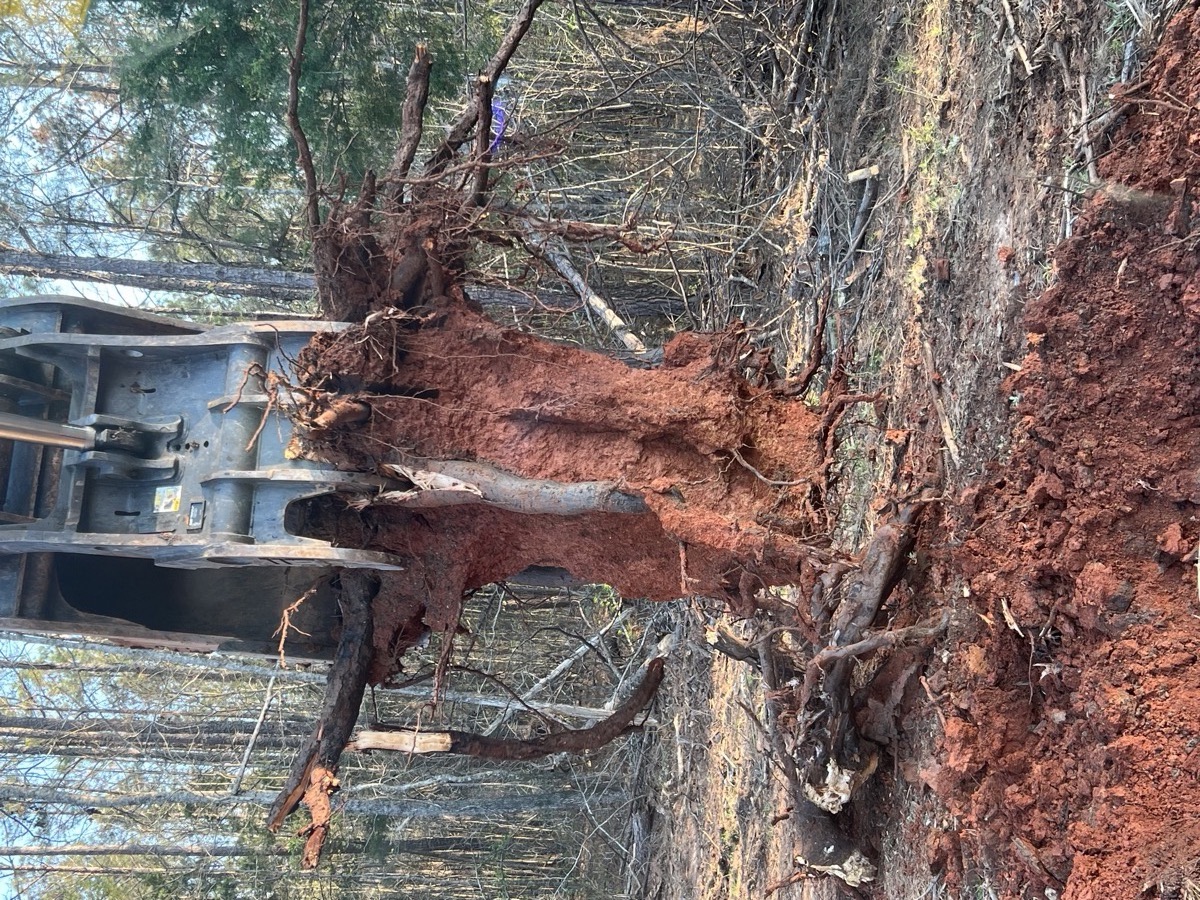 Excavator root ball stump removal Macon GA