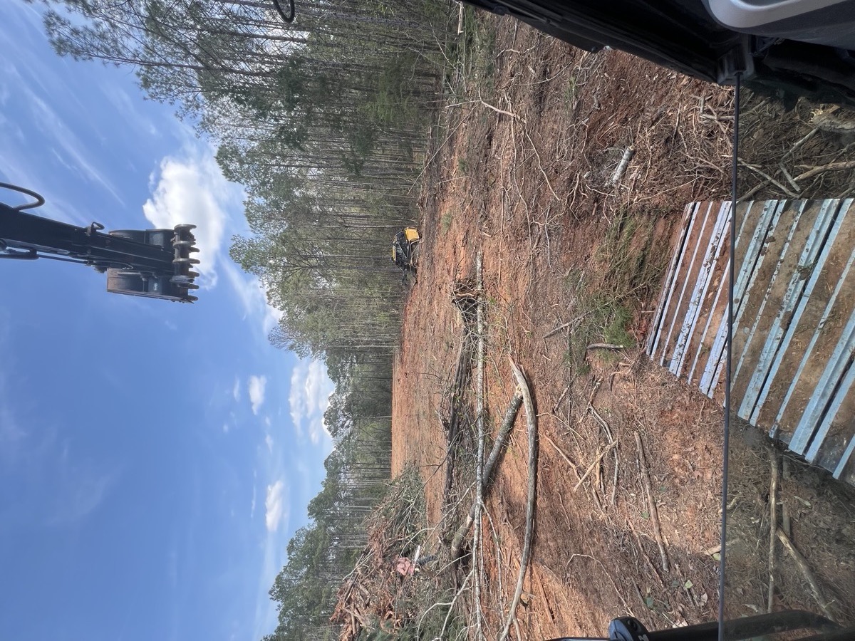 Active lot clearing Middle Georgia