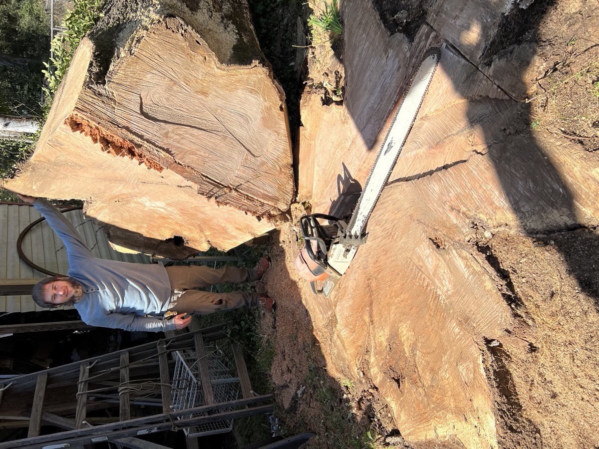 Glisson Tree Service Macon Georgia