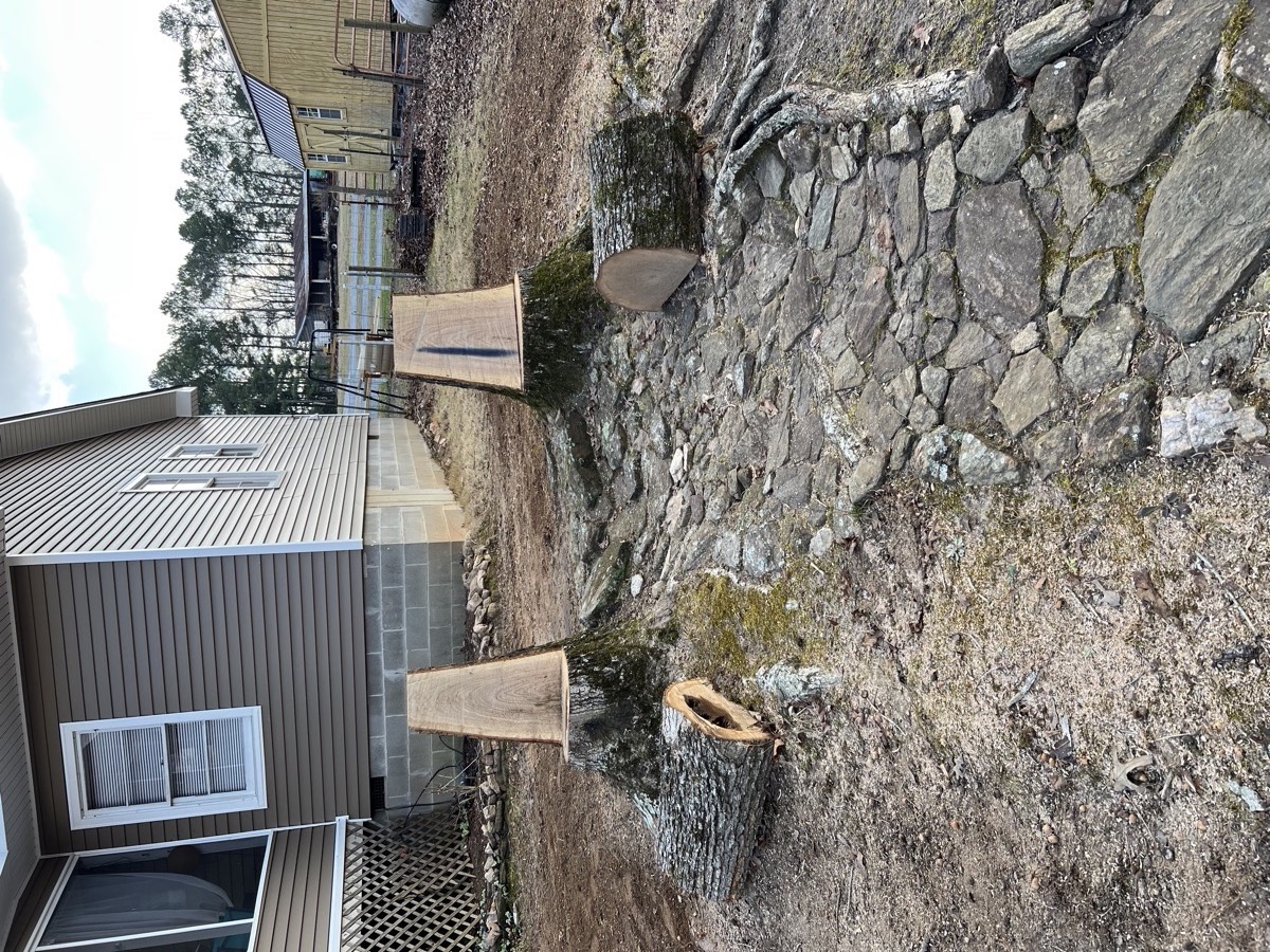 Stump grinding service Macon GA